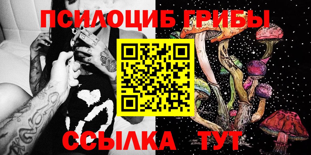 Карабулак  Галлюциногенные грибы мицелий  Вход с VPN 