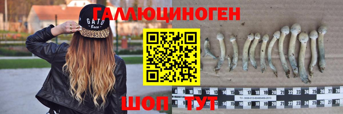 Галлюциногенные грибы Magic Shrooms Карабулак