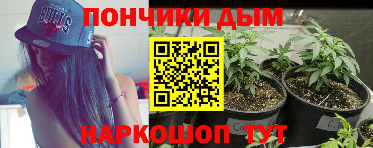 Каннабис THC 21%  Бошки Шишки планчик  Карабулак  Вход с VPN 